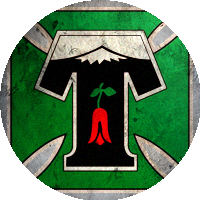 Club de Deportes Temuco